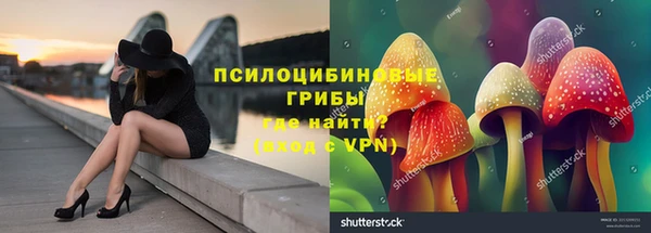 гашиш Бородино