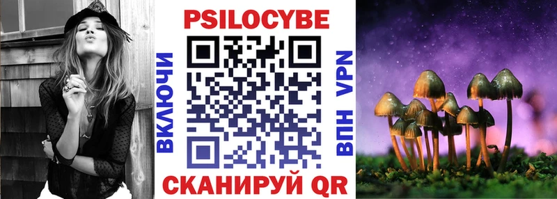 Галлюциногенные грибы Psilocybe  купить  сайты  мега ссылка  Кизляр 
